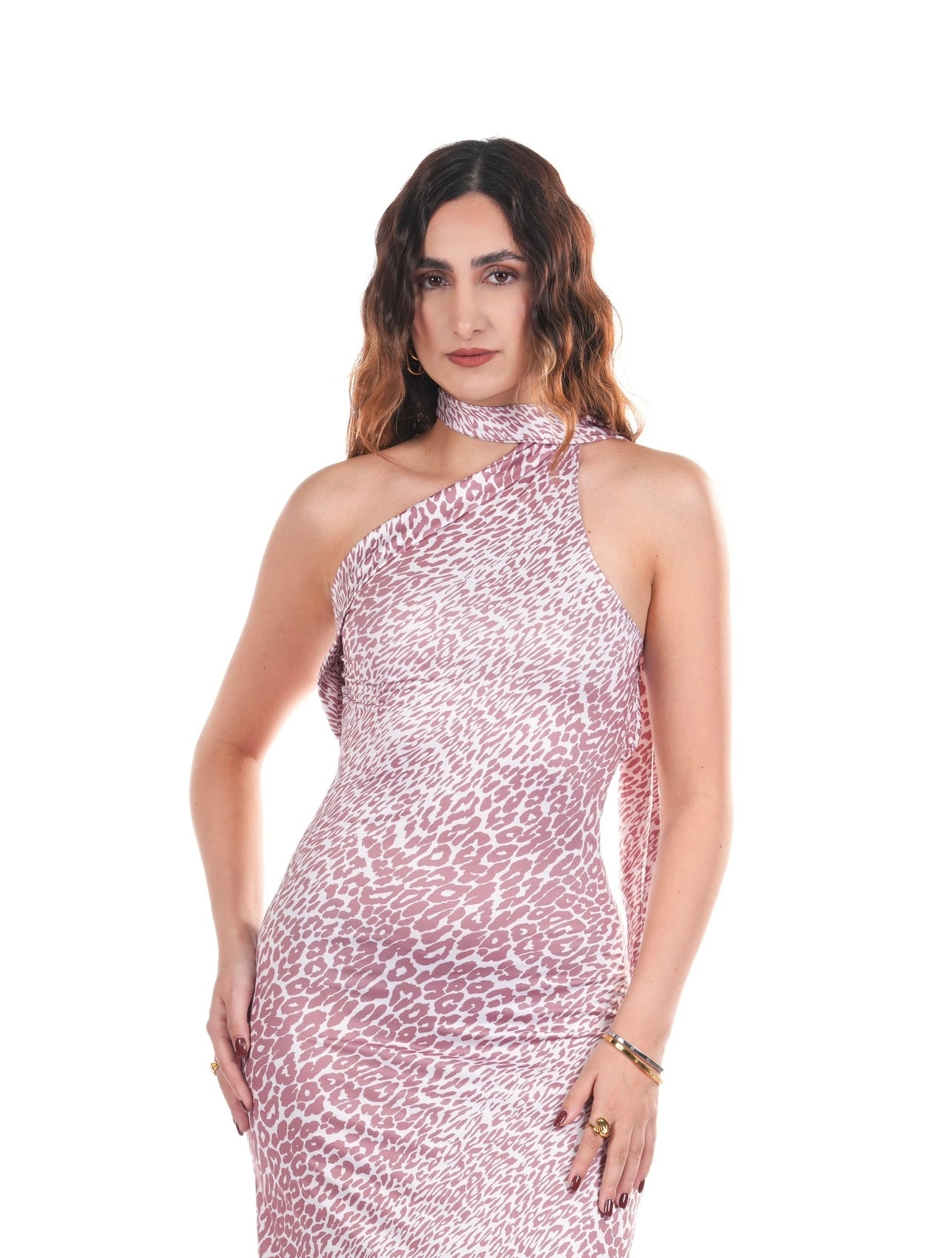 Blushed Dress